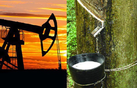 Thị trường cao su thiên nhiên sẽ hưởng lợi nhờ giá dầu tăng